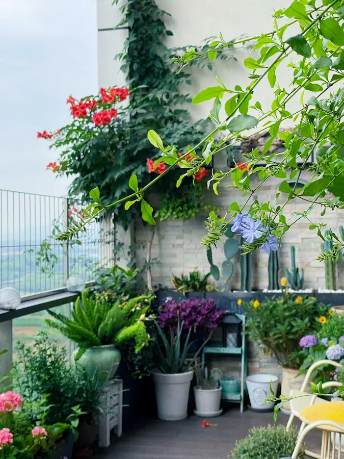 how to start gardening in balcony:Bright balcony garden