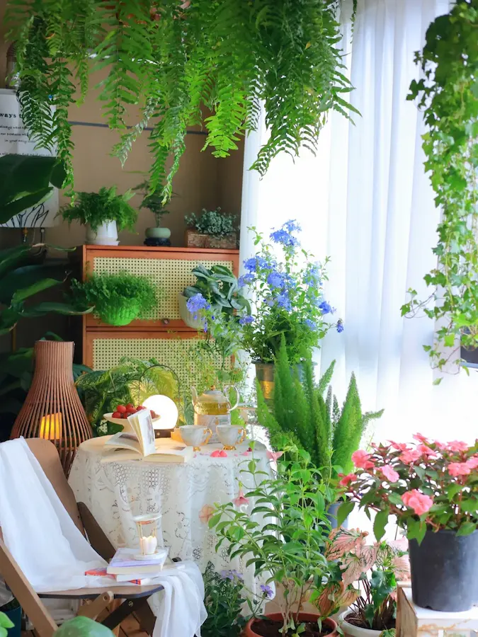 how to start gardening in balcony:Cozy Balcony Garden
