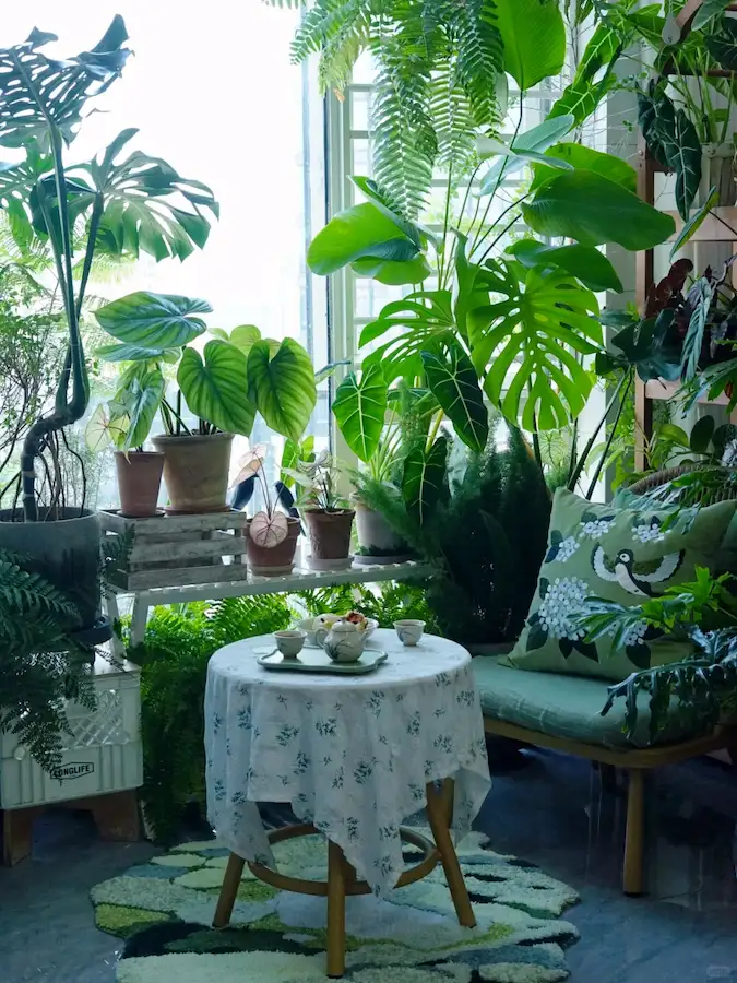 how to start gardening in balcony:Cozy balcony garden corner