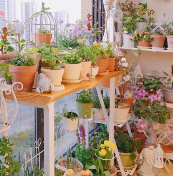 Flower rack in the balcony garden