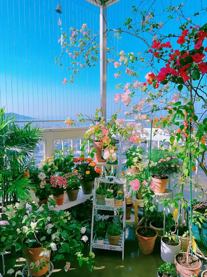 Lush balcony garden
