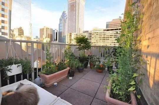 balcony garden essentials