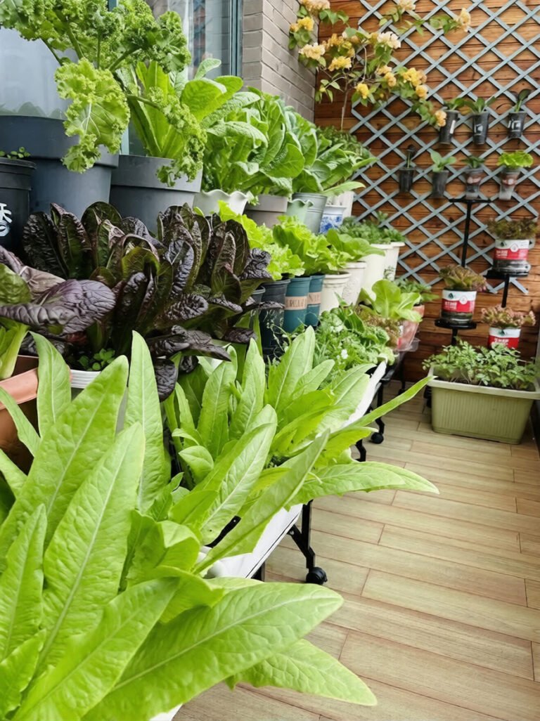 best vegetables for a balcony garden