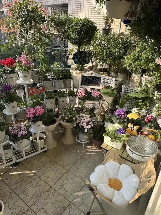 gardening in the balcony