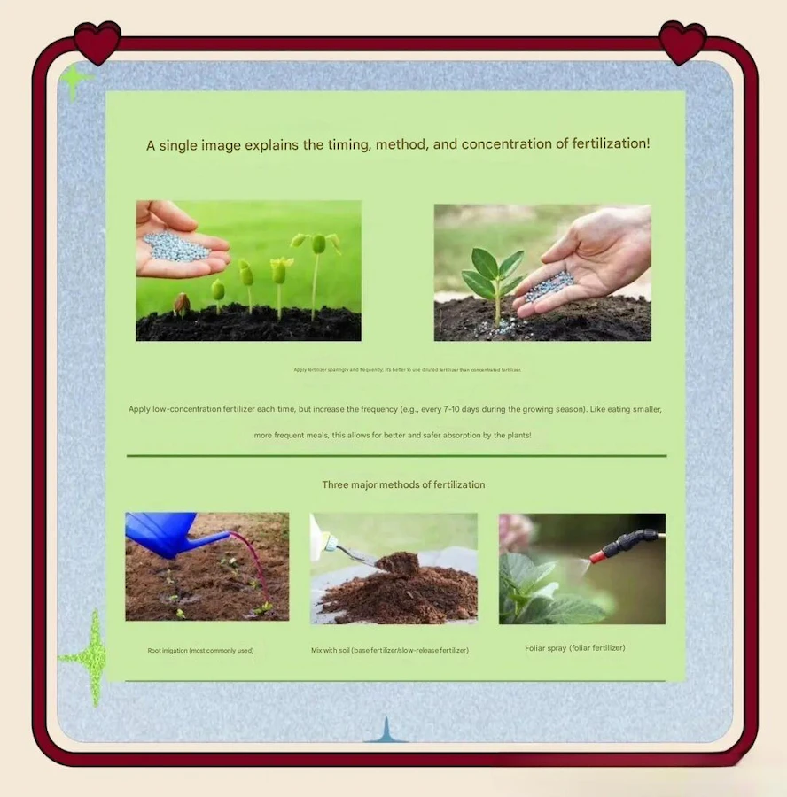 when to apply fertilizer to vegetable garden:A picture to understand the timing, method, and concentration of vegetable fertilization