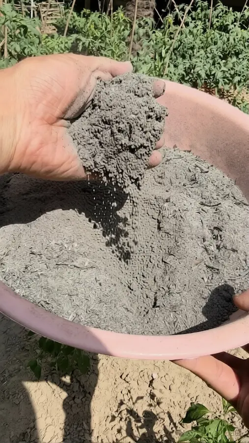 Grey wood ash falling from hand into pink basin