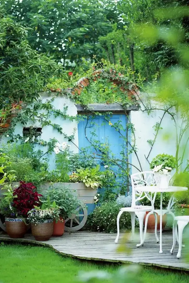 How to guide climbing plants:horizontal pulling