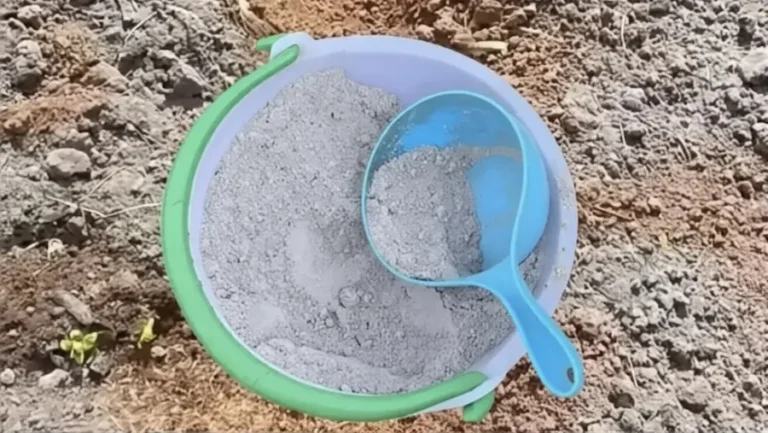 are ashes good for a vegetable garden