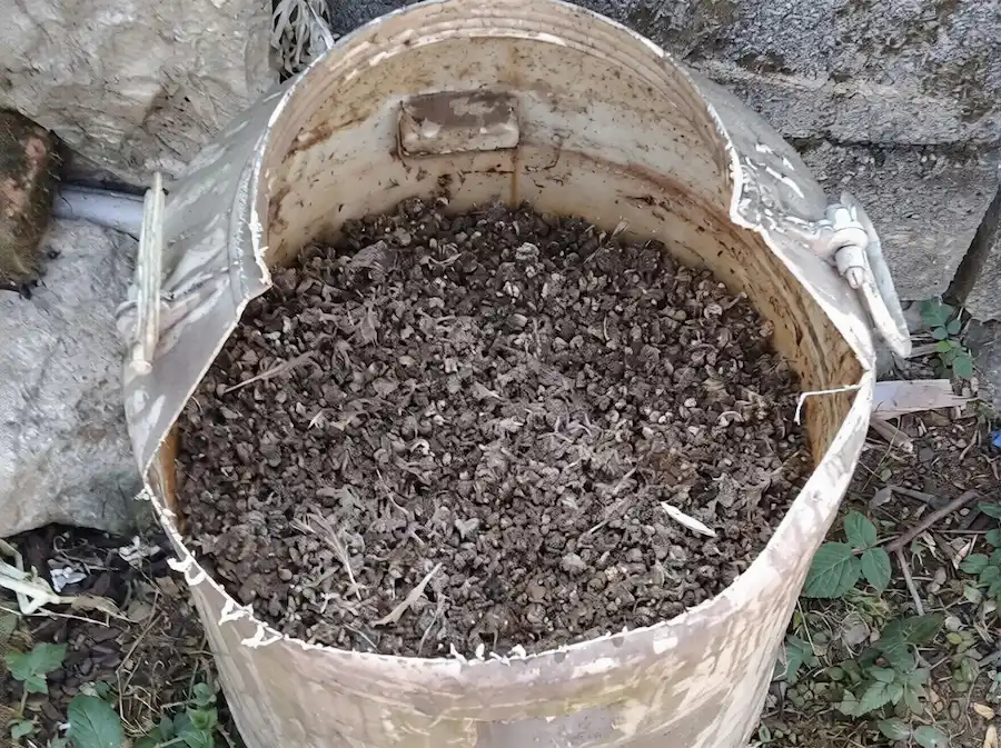 best vegetable garden fertilizer-Guano