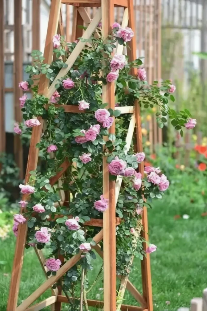 how to guide climbing plants:S-type traction